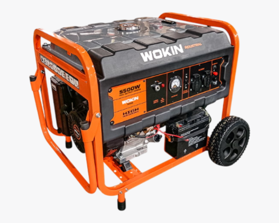 791255 Wokin Գեներատոր 230V, 5000W PRO - ի նկար