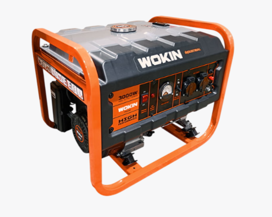 791230 Wokin Գեներատոր 230V, 3000W PRO - ի նկար