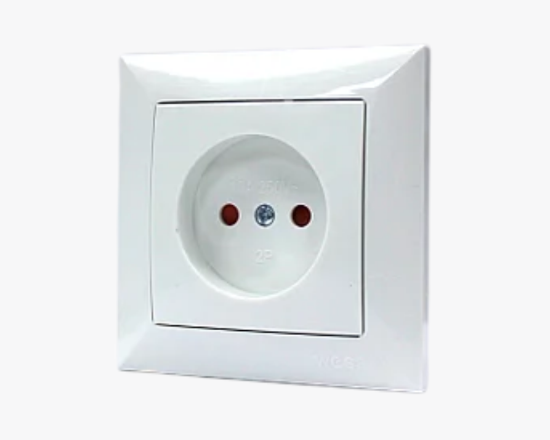 CS-19 Վարդակ արտ․ 1 տեղ․ 2P+T հողանցումով + 2 USB - ի նկար